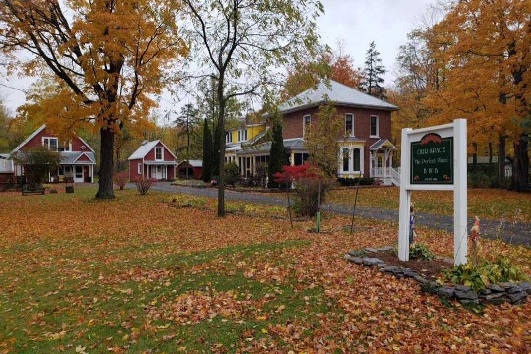 Photo of Others in Picton