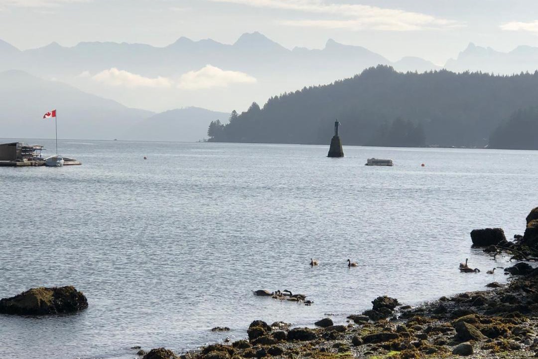 Photo of Others in Gibsons