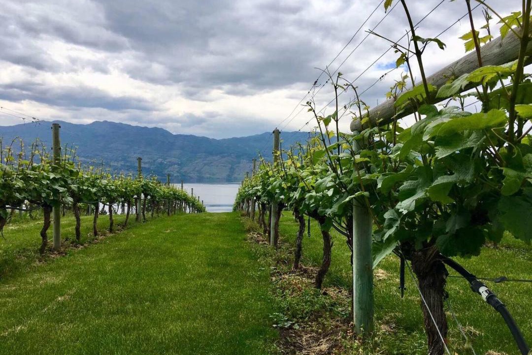 Photo of Others in Central Okanagan