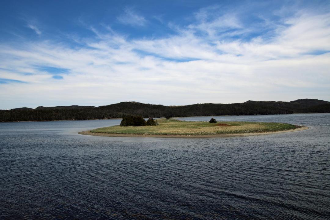 Photo of Others in Arnold's Cove