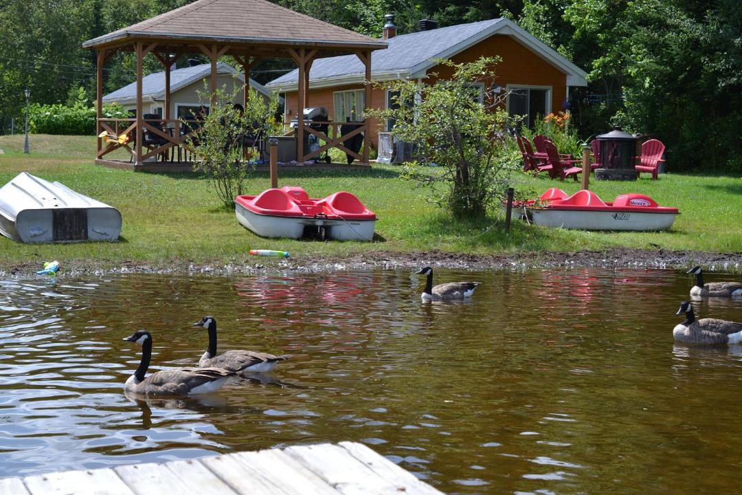 Photo of Others in Chute-Saint-Philippe