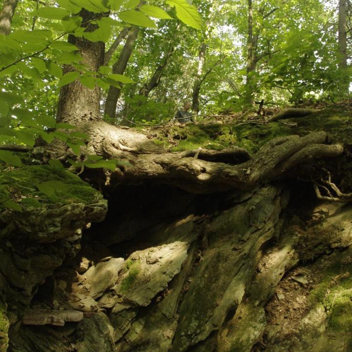 Photo of Outdoor in Sainte-Sophie-d'Halifax