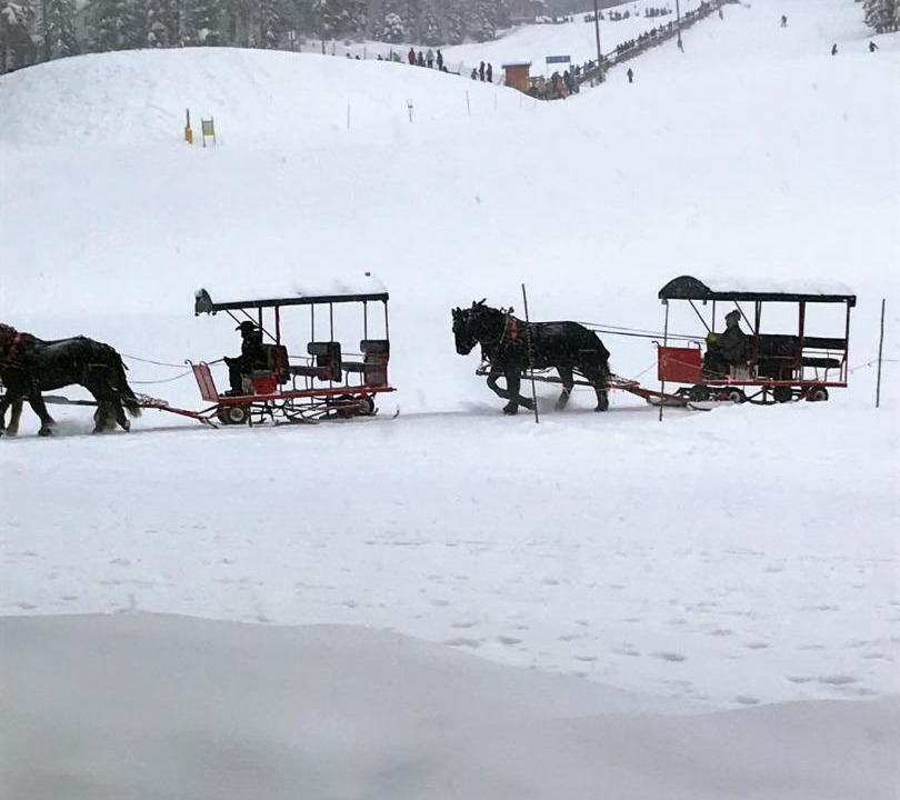 Photo of Others in Silver Star Mountain