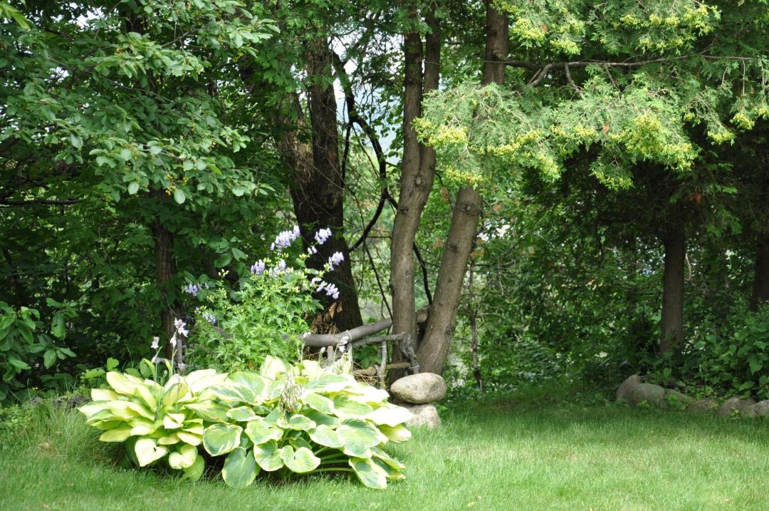 Photo of Others in Baie-St-Paul