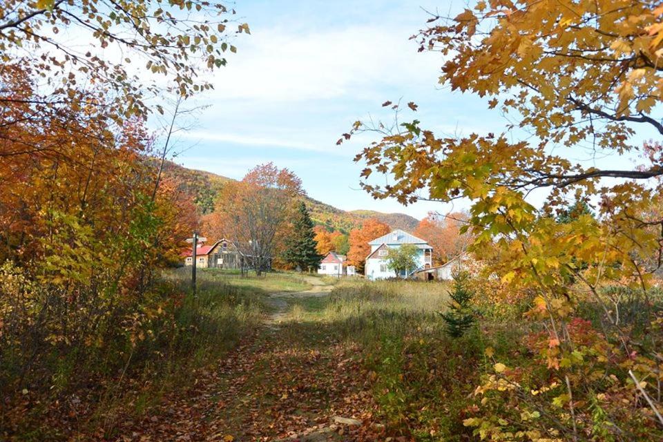 Photo of Others in Petite-Riviere-Saint-Francois