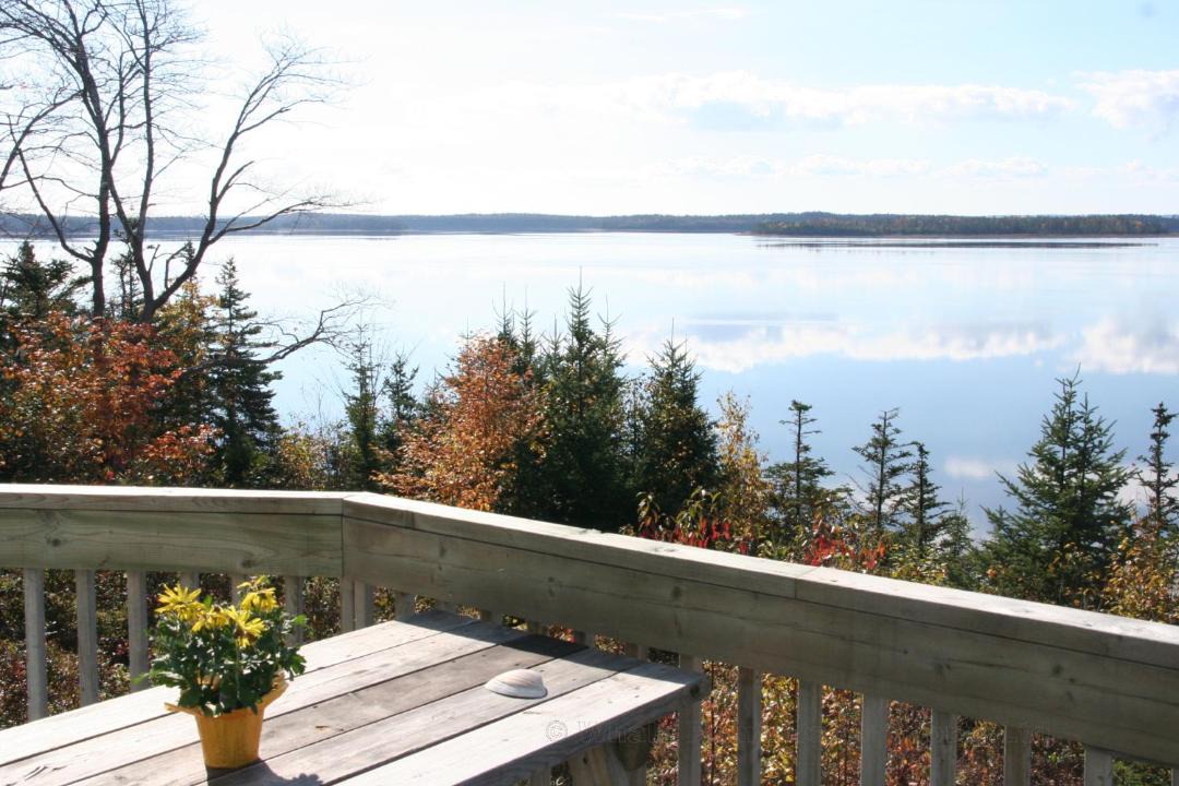 Photo of Patio Balcony in Walkerville