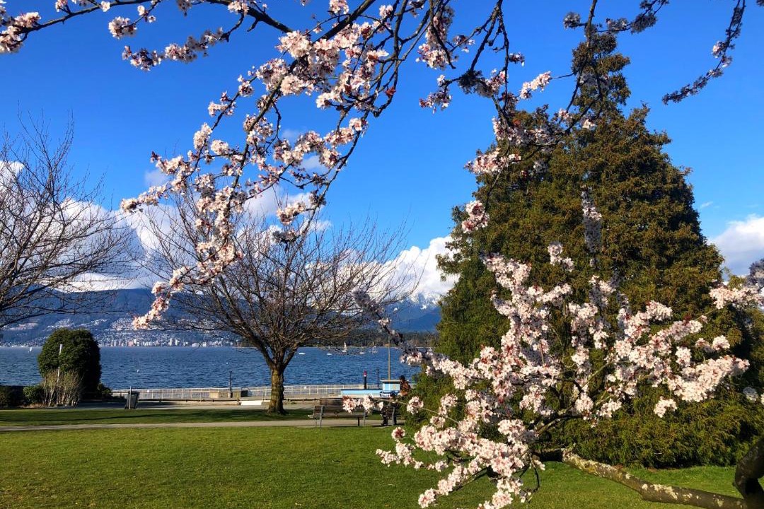 Photo of Others in Kitsilano