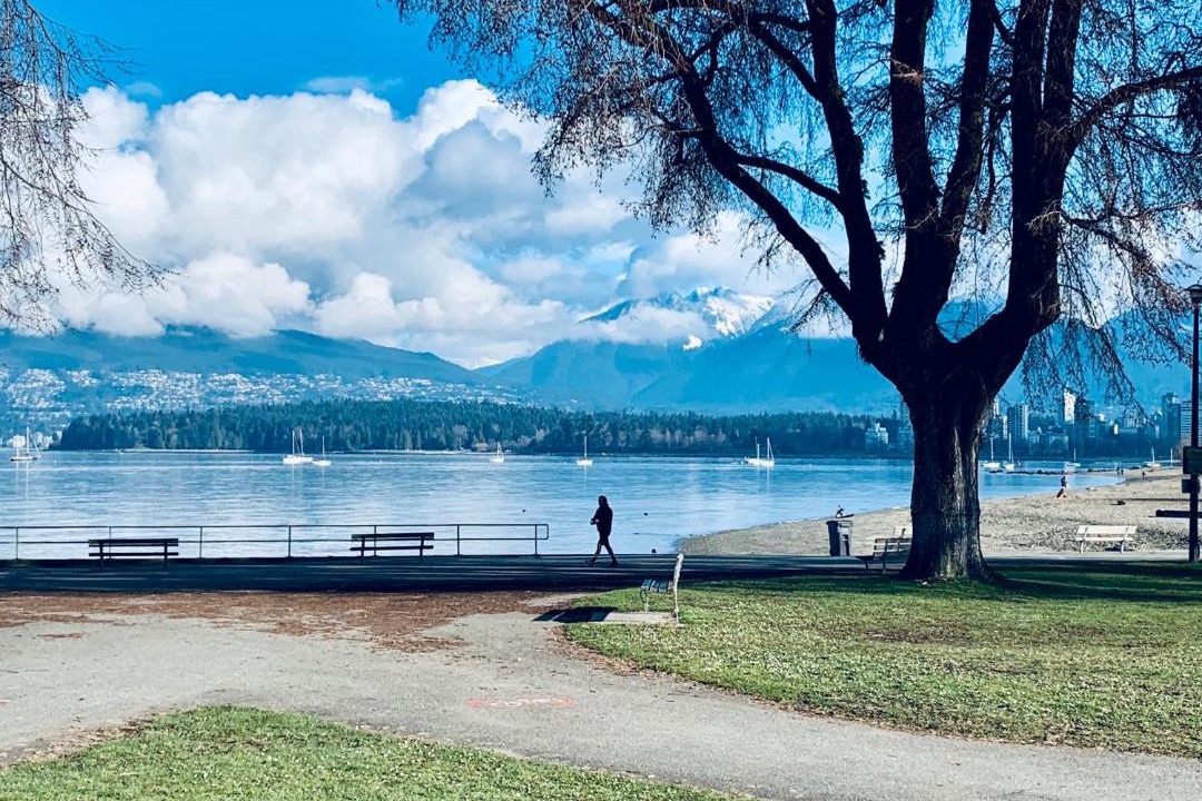 Photo of Others in Kitsilano