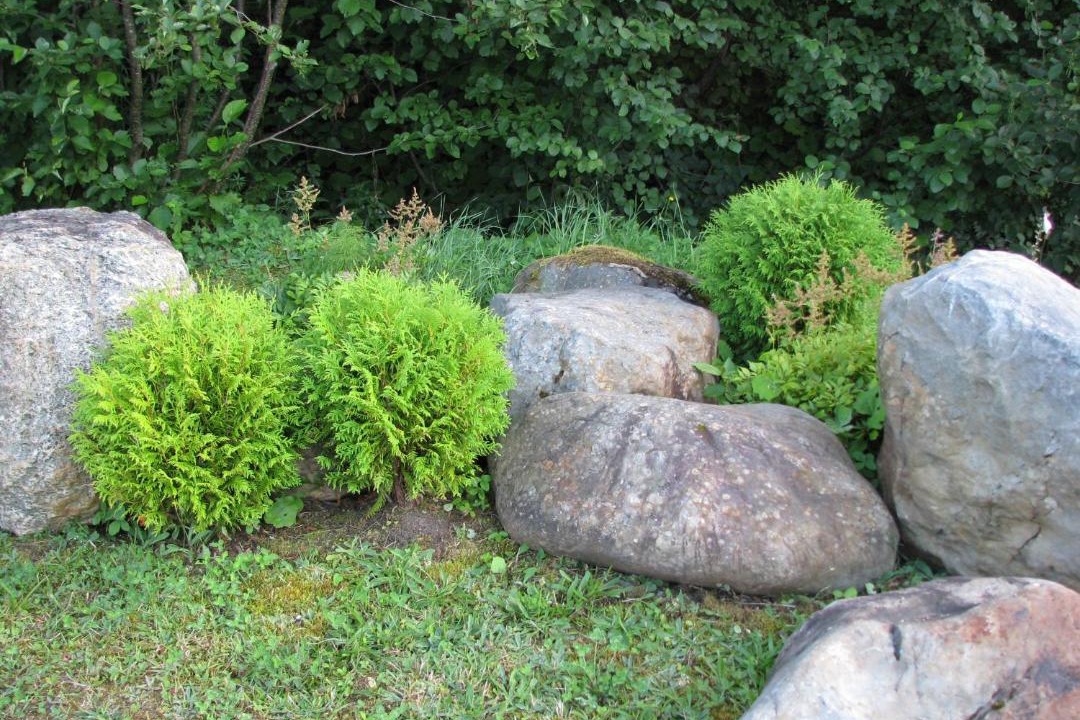 Photo of Others in Glenburnie-Birchy Head-Shoal Brook
