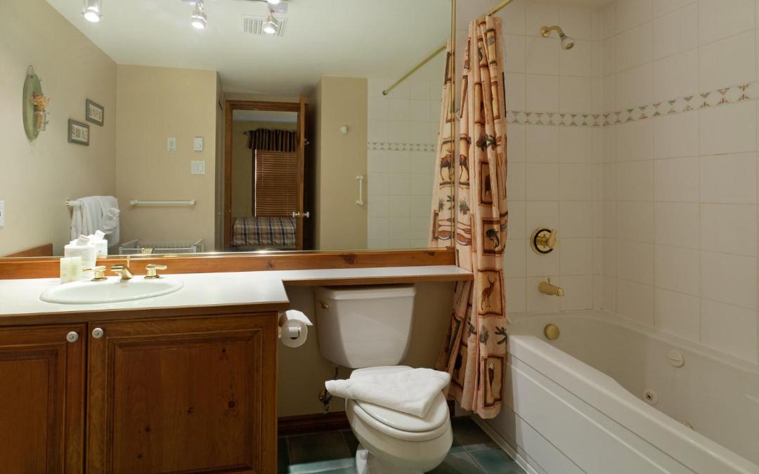 Photo of Bathroom in Blackcomb