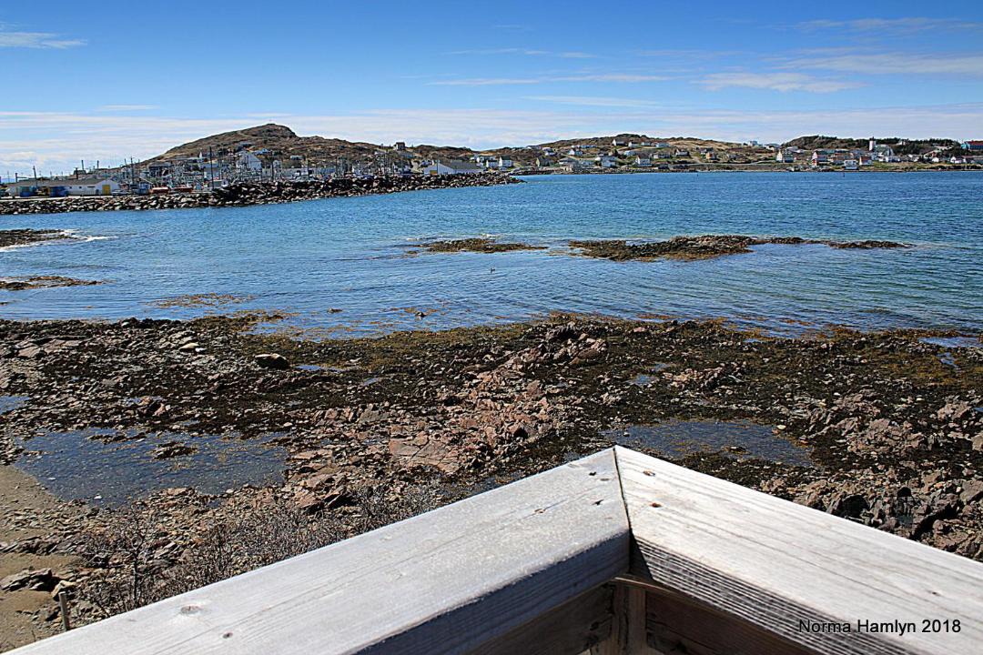 Photo of Others in Twillingate