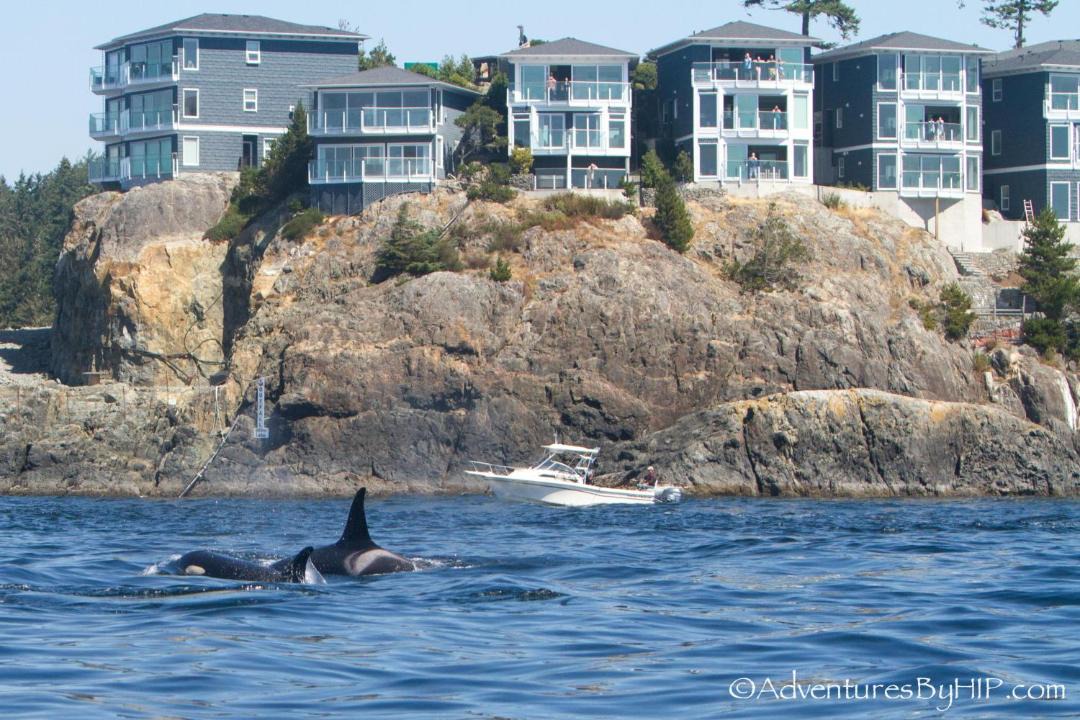 Photo of Others in Sooke