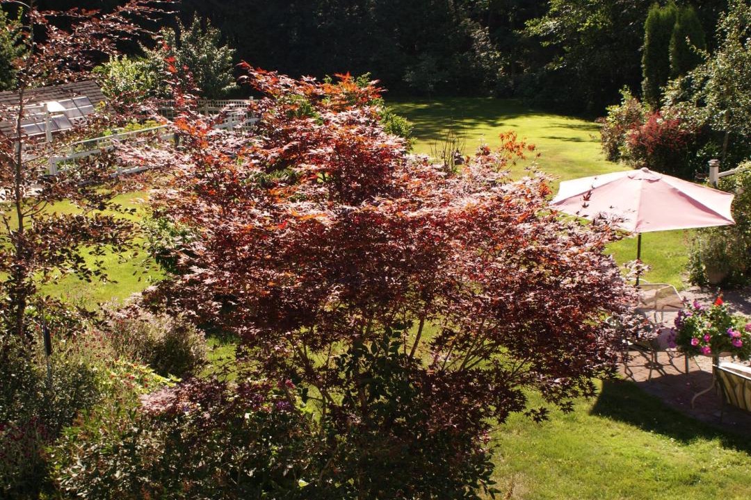 Photo of Outdoor in Powell River