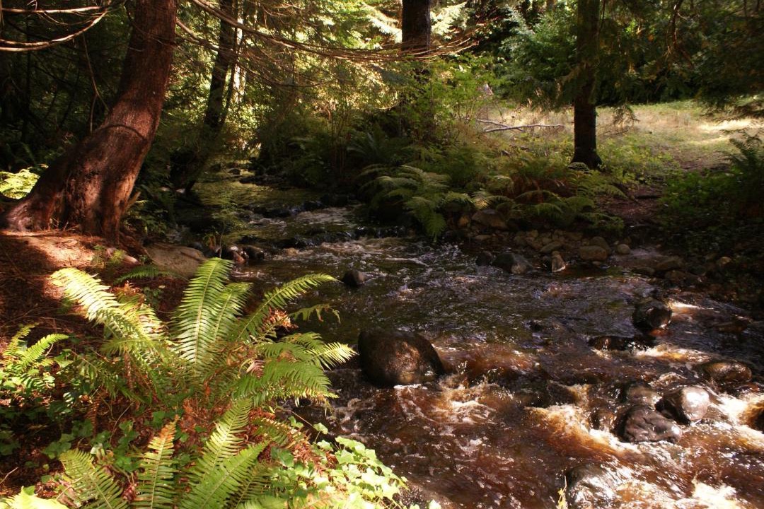 Photo of Outdoor in Powell River