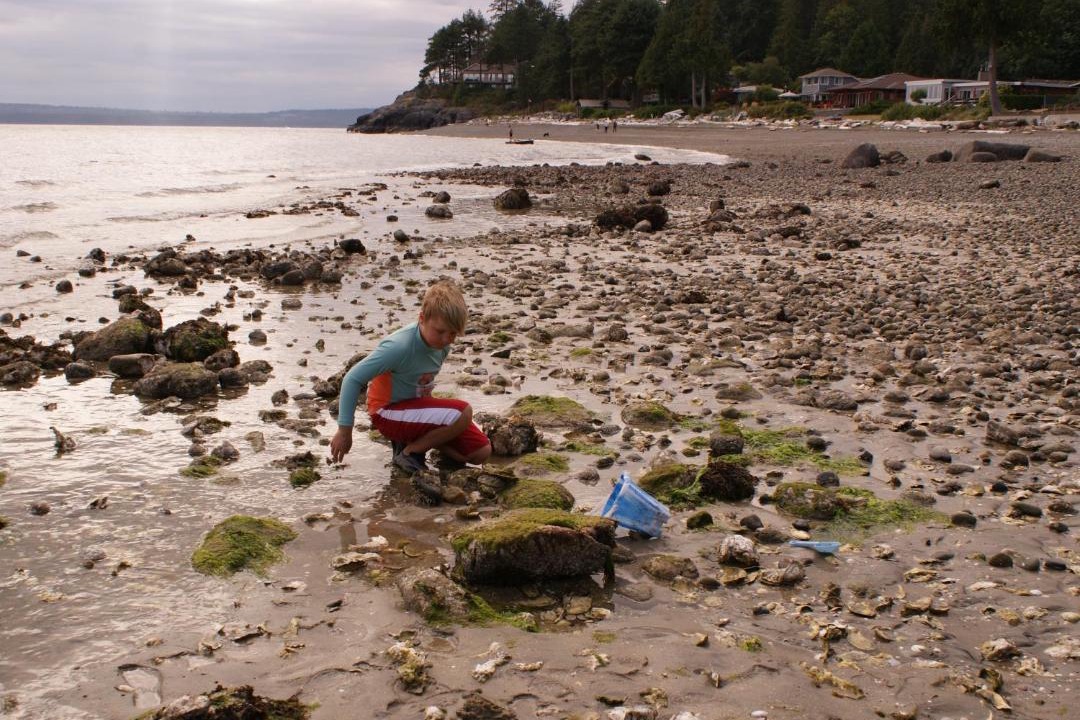 Photo of Outdoor in Powell River