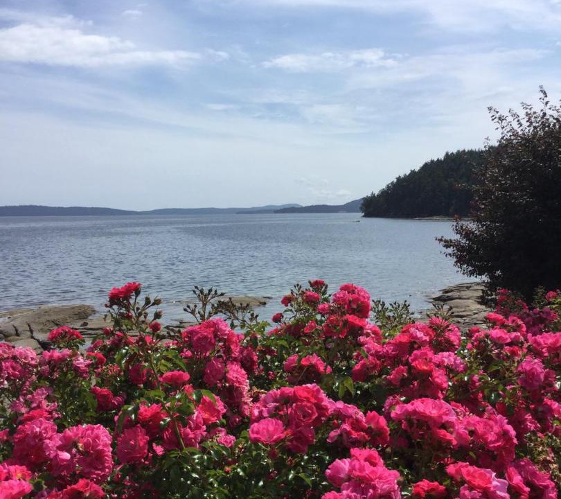 Photo of Outdoor in North Oyster