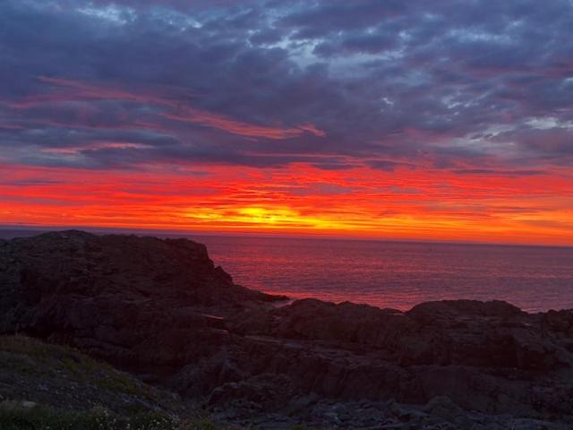 Photo of Others in Bonavista