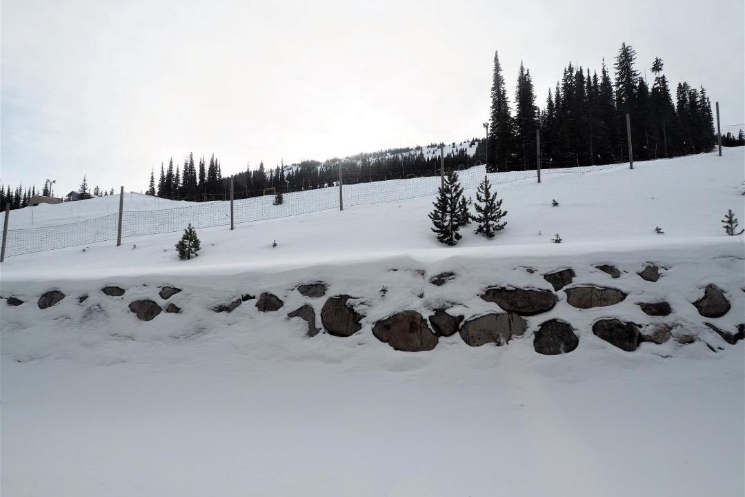 Photo of Others in Okanagan-Similkameen