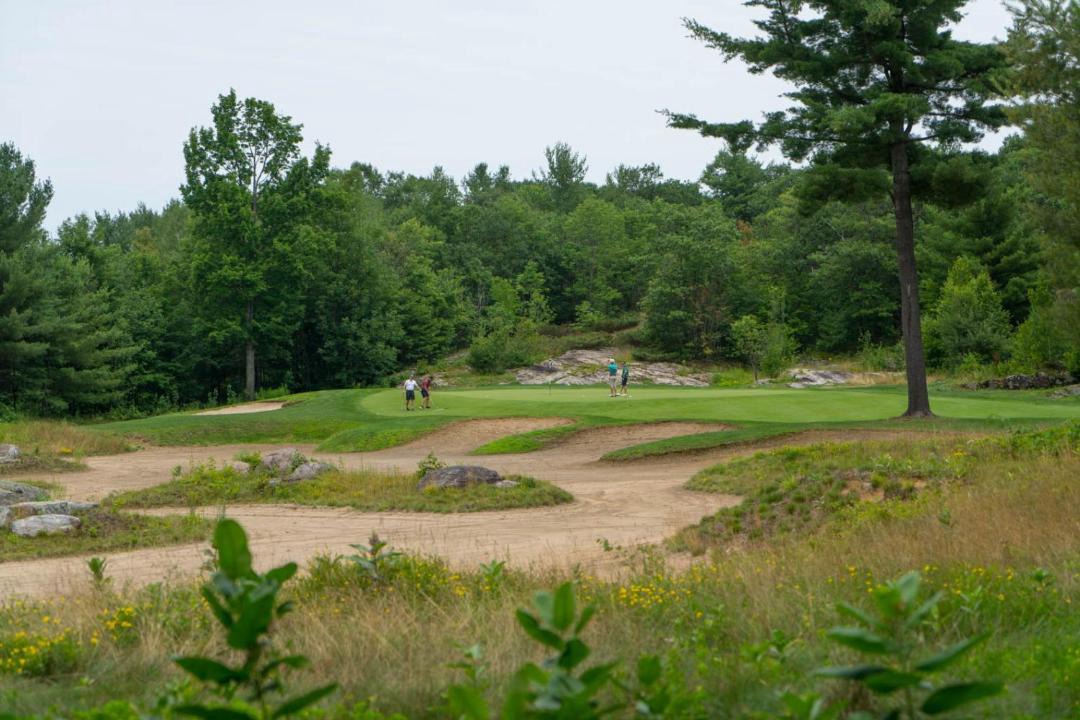 Photo of Others in Gravenhurst