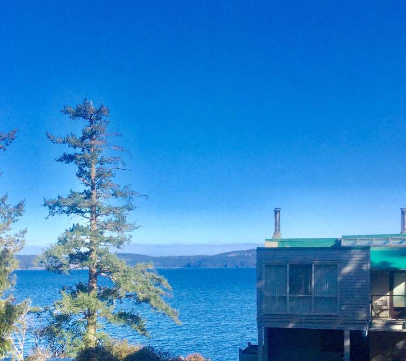Photo of Outdoor in North Oyster