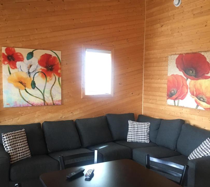 Photo of Livingroom in Gander