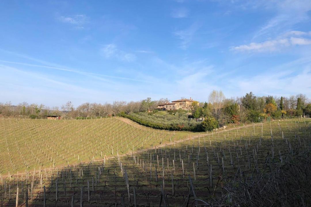 Photo of Outdoor in Gaiole in Chianti