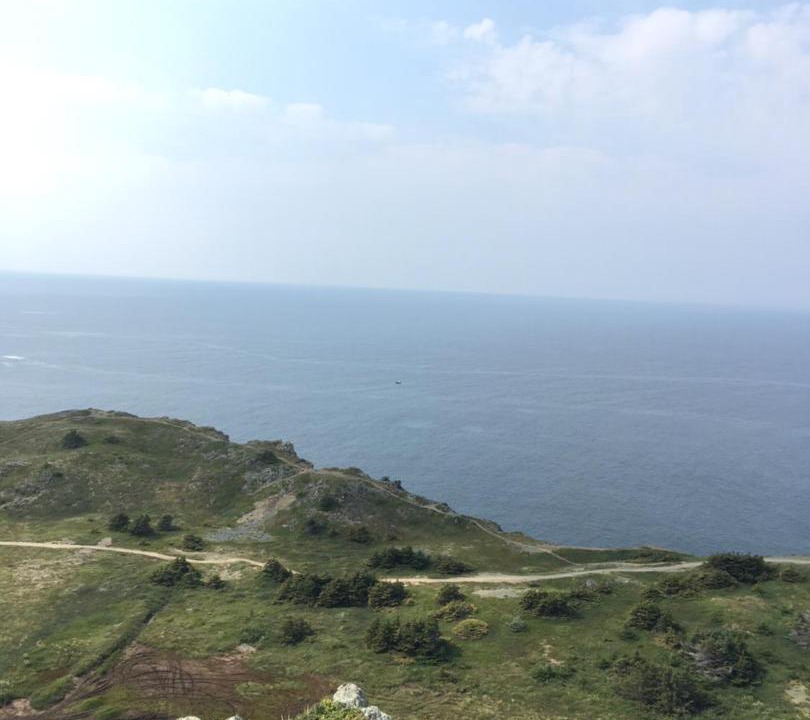 Photo of Others in Twillingate