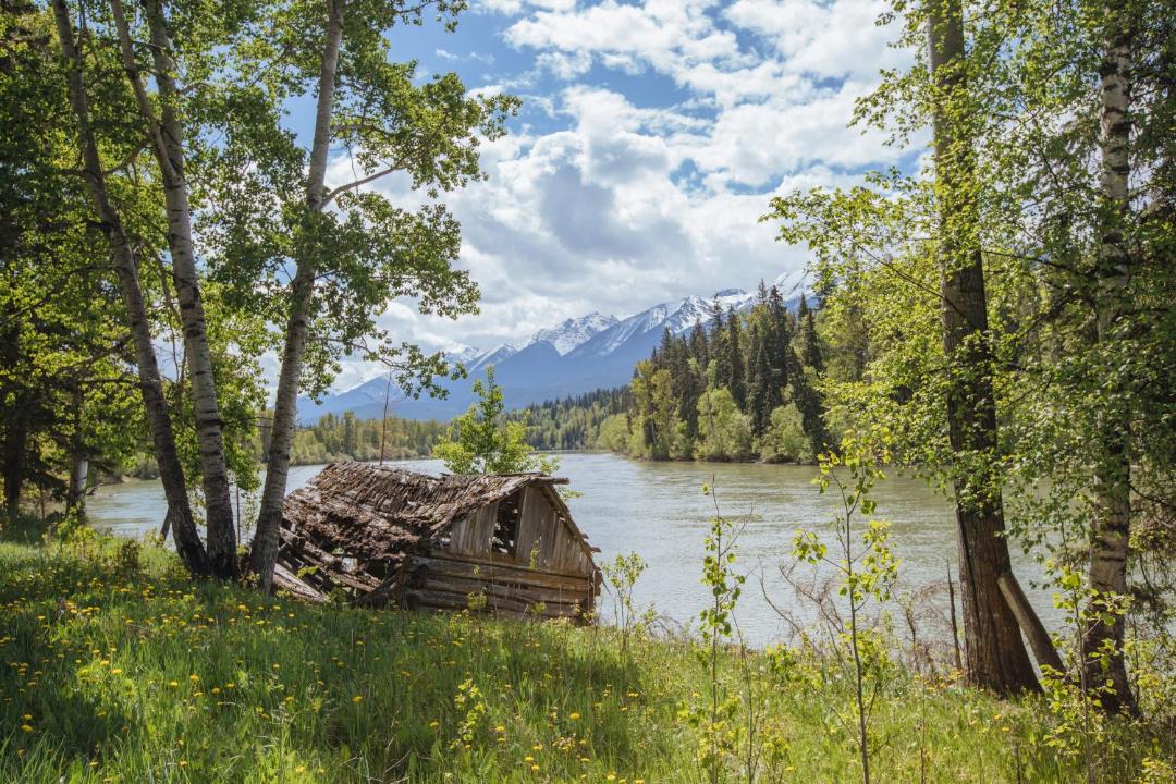 Photo of Others in Valemount