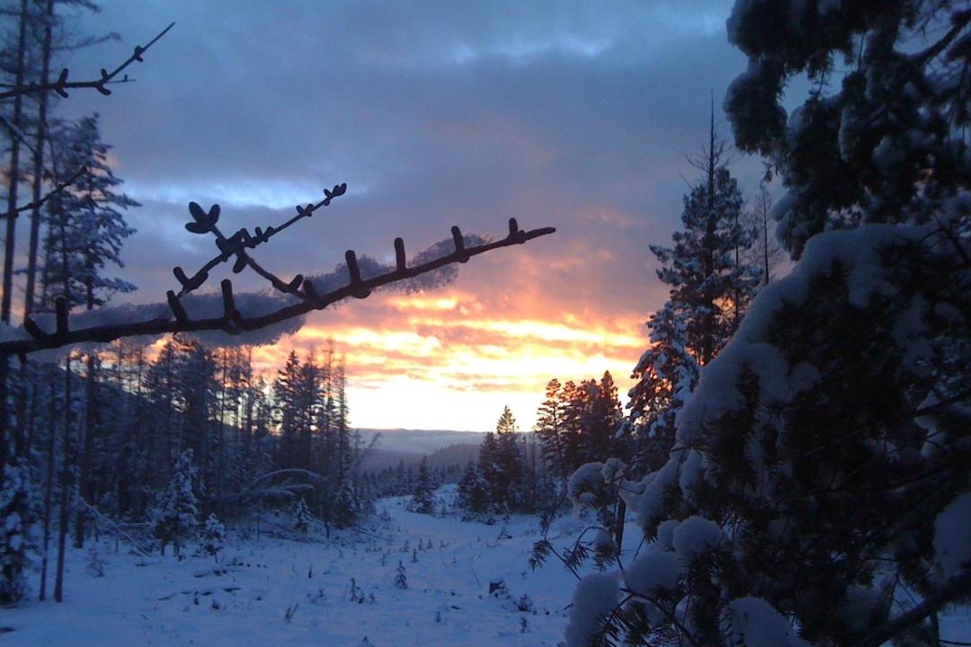 Photo of Others in East Kootenay