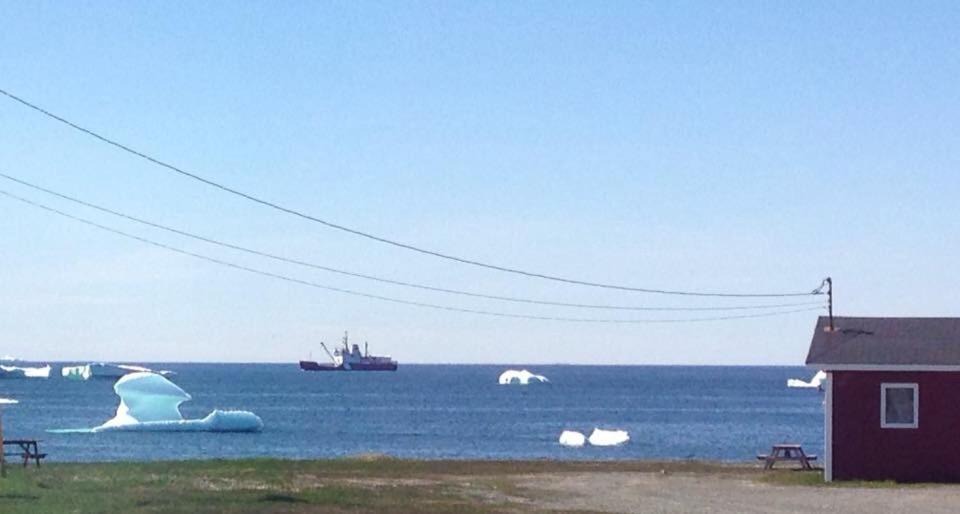 Photo of Buildings in Bonavista