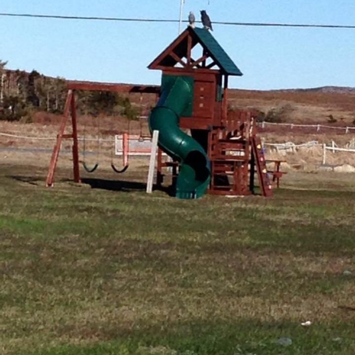 Photo of Others in Bonavista