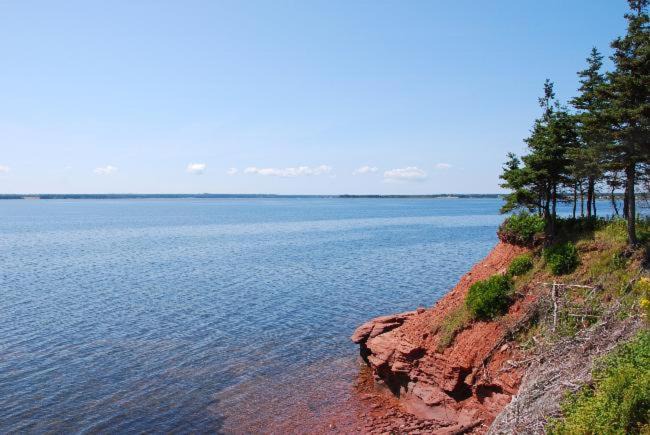 Photo of Outdoor in Little Pond