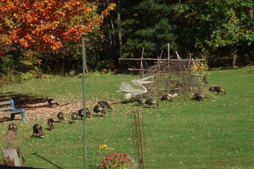 Photo of Others in Sutton