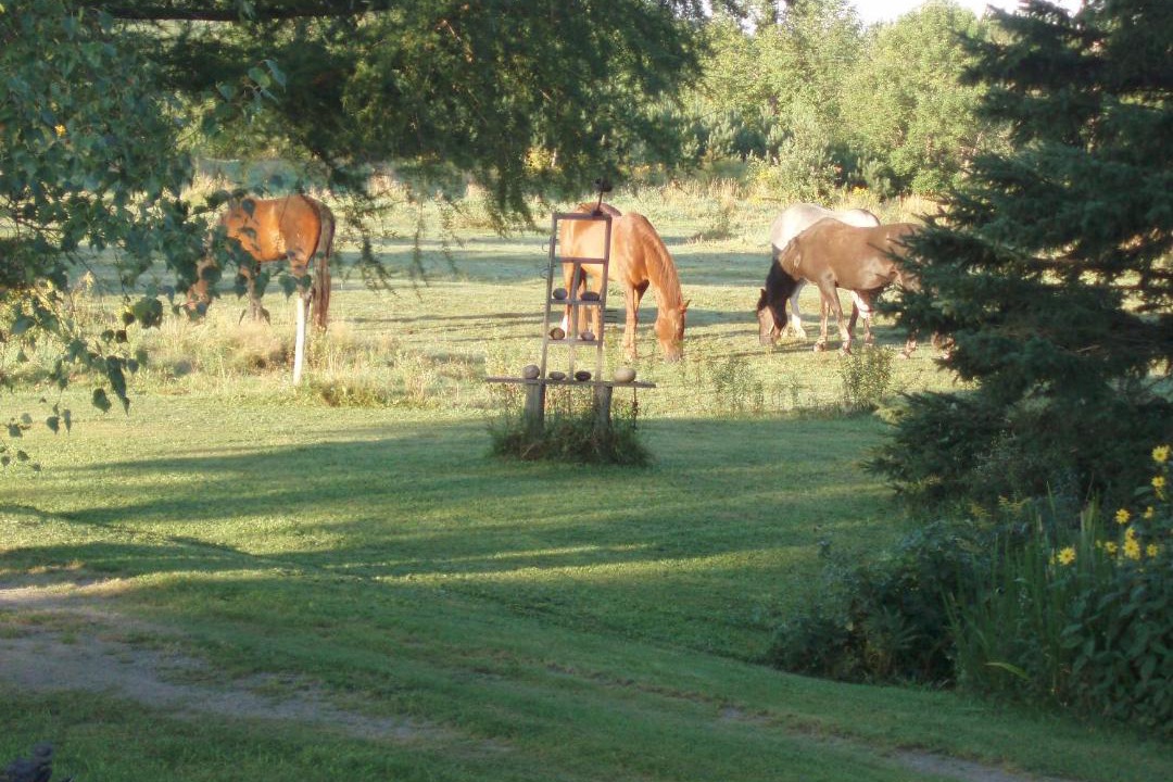 Photo of Others in Sutton