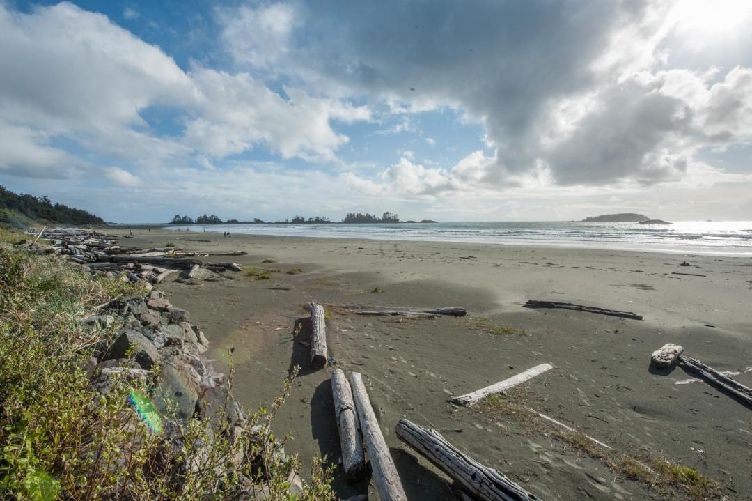Photo of Others in Tofino