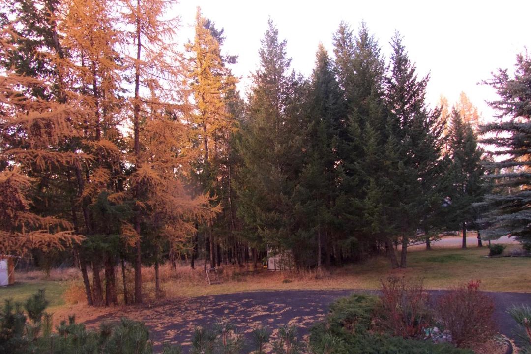 Photo of Others in East Kootenay