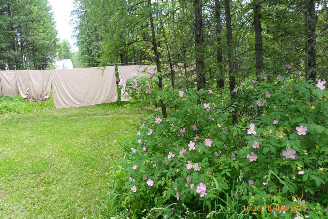 Photo of Others in East Kootenay