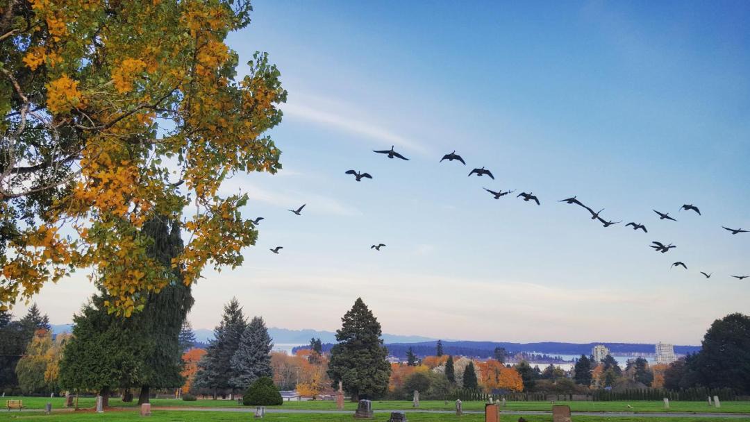 Photo of Others in Regional District of Nanaimo