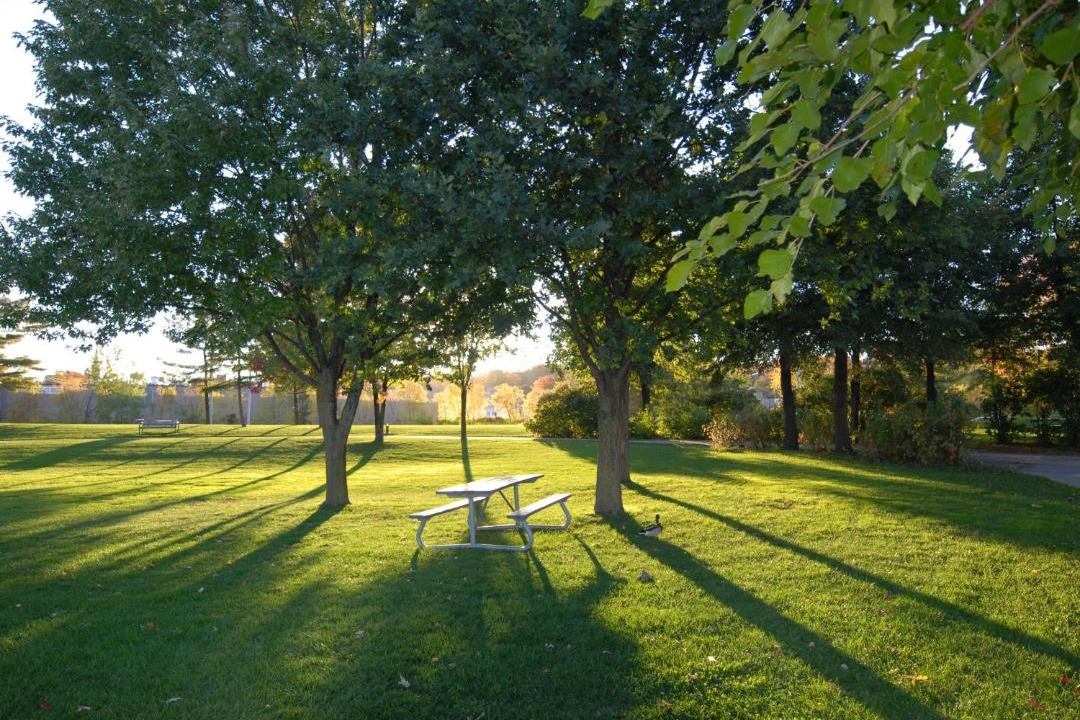 Photo of Outdoor in Orillia