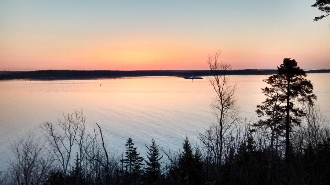 Photo of Others in Fergusons Cove