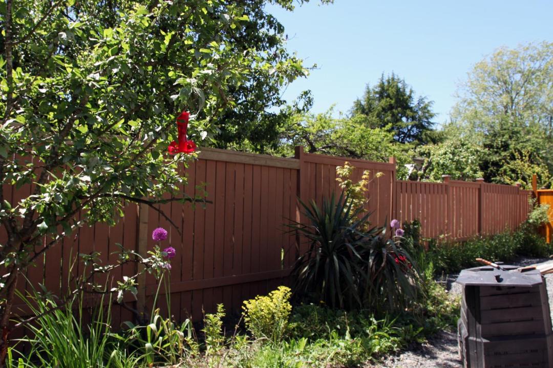 Photo of Others in Saanich