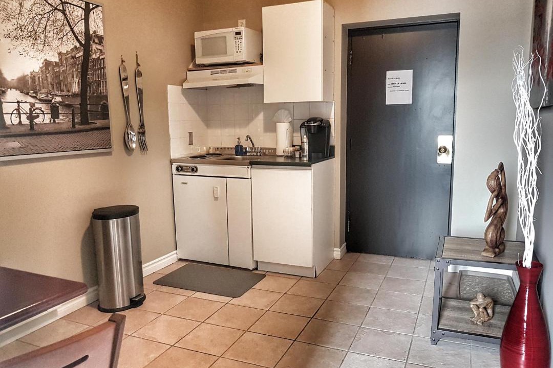Photo of Kitchen in Downtown Gatineau