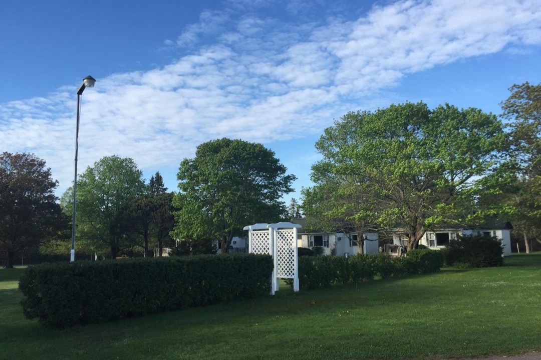 Photo of Others in Green Gables