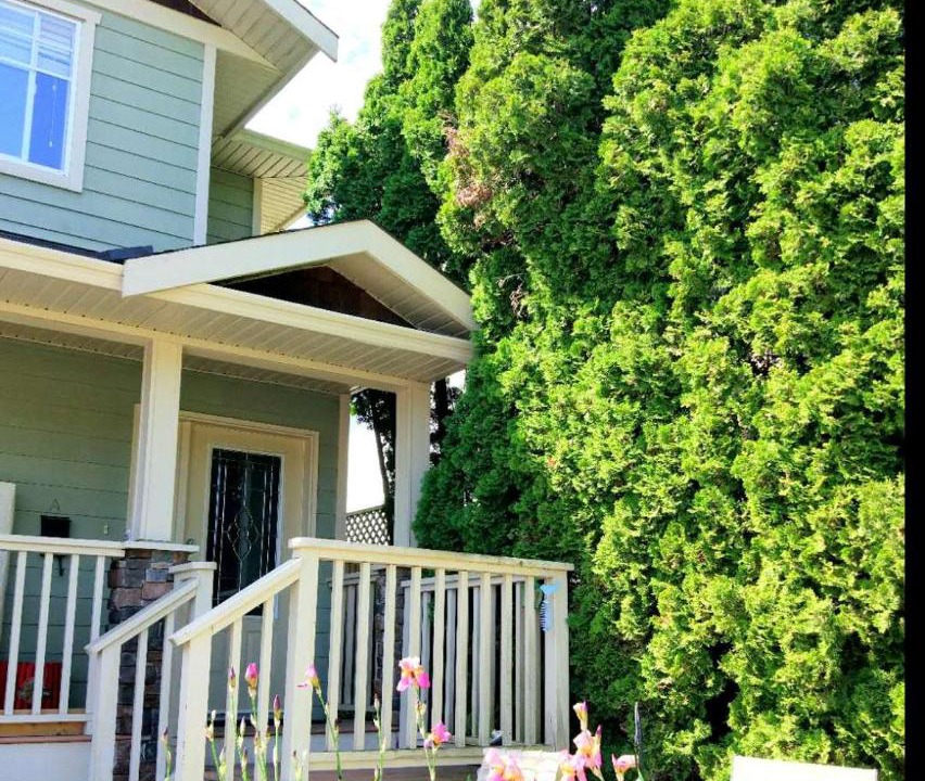 Photo of Buildings in Saanich East