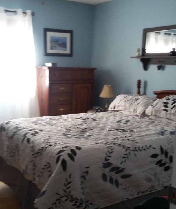 Photo of Others in Bonavista