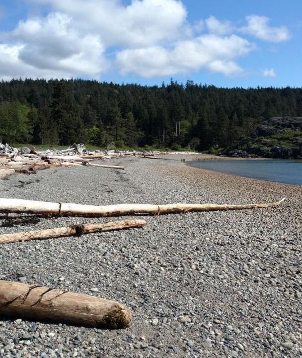 Photo of Others in Halfmoon Bay