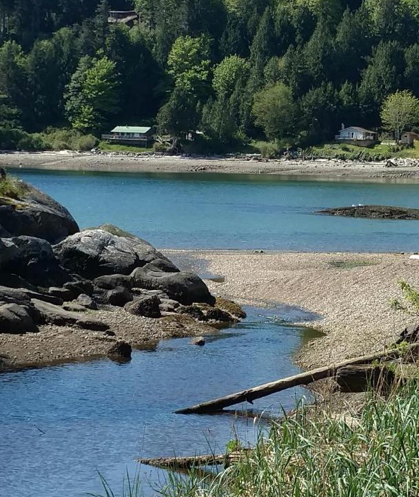 Photo of Others in Halfmoon Bay