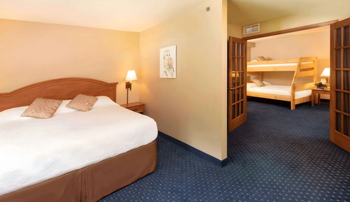 Junior King Suite with Twin/Full Bunk Bed