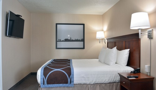 Deluxe Suite, 1 King Bed, Non Smoking (Park View, Lower Floor)