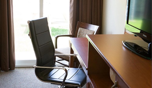 Business Room, 1 Queen Bed, Non Smoking (Park View, Lower Floor)